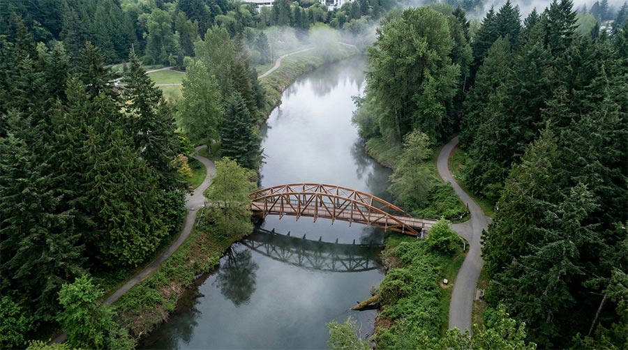 Aerial view of a wooden arched bridge over a river surrounded by evergreen trees