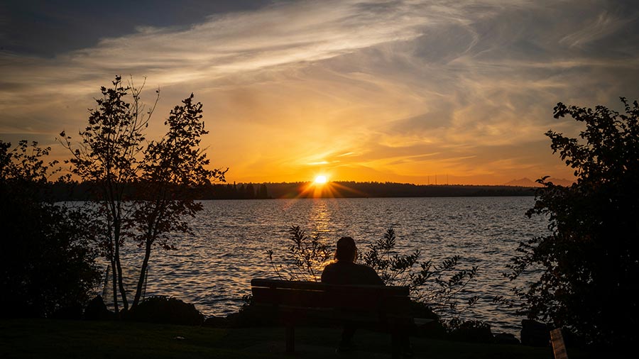 Silhouette of a person sitting on a bench overlooking a lake at sunset