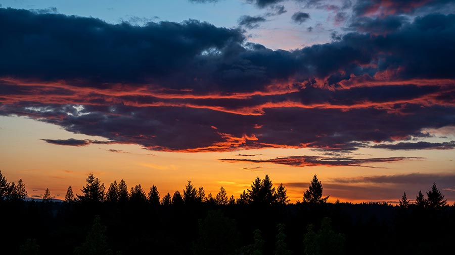 Silhouette of a forest treeline under a vibrant orange and purple sunset sky