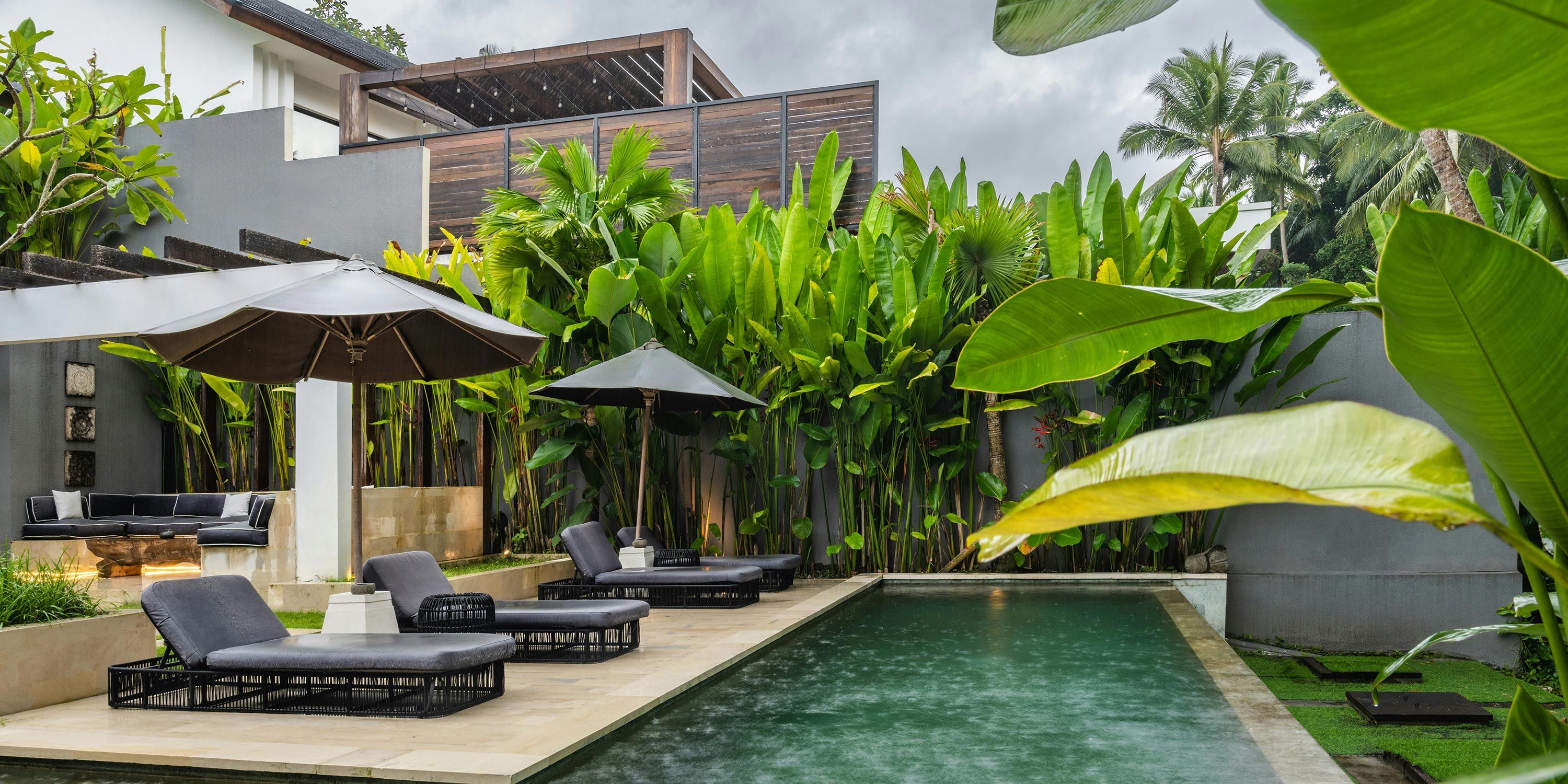 Tropical backyard pool with lounge chairs, large green plants, and umbrellas creating a private retreat.